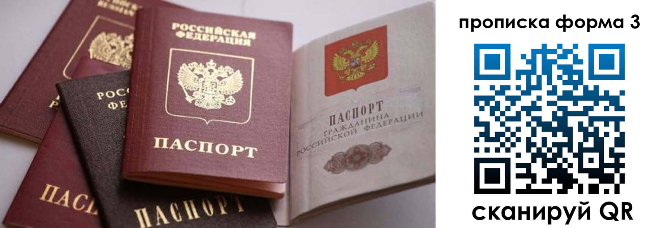 прописка для школы в Ялте
